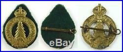 5 WW II Canadian Medals & Ribbons & Original Box, Photos, Pay Book & Cap Badge