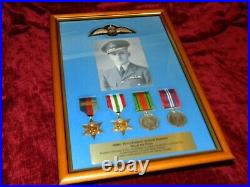 WW2 Pilot Wings 2 Star Defence & War Medal Frame Battle of Britain